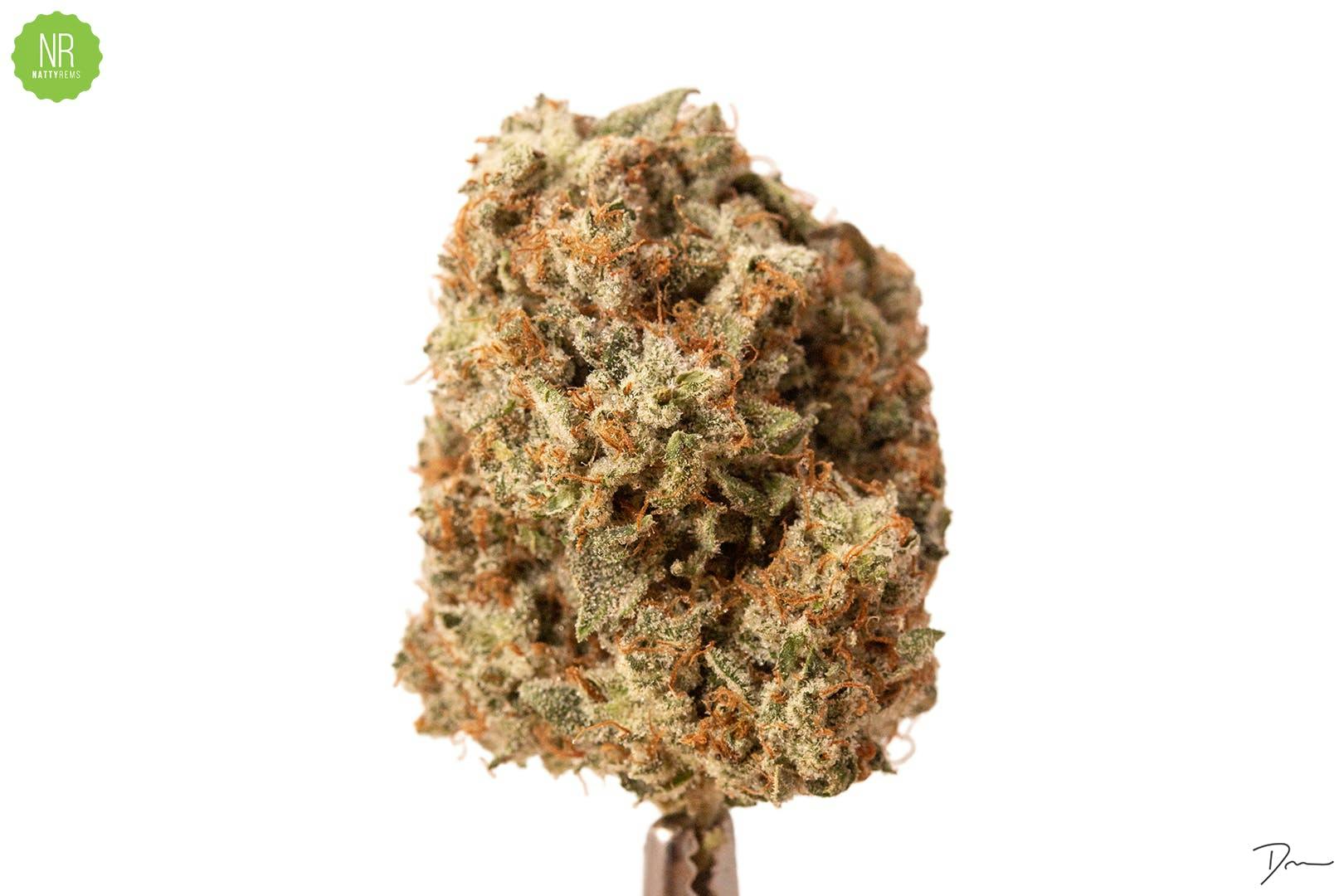 Og Kush