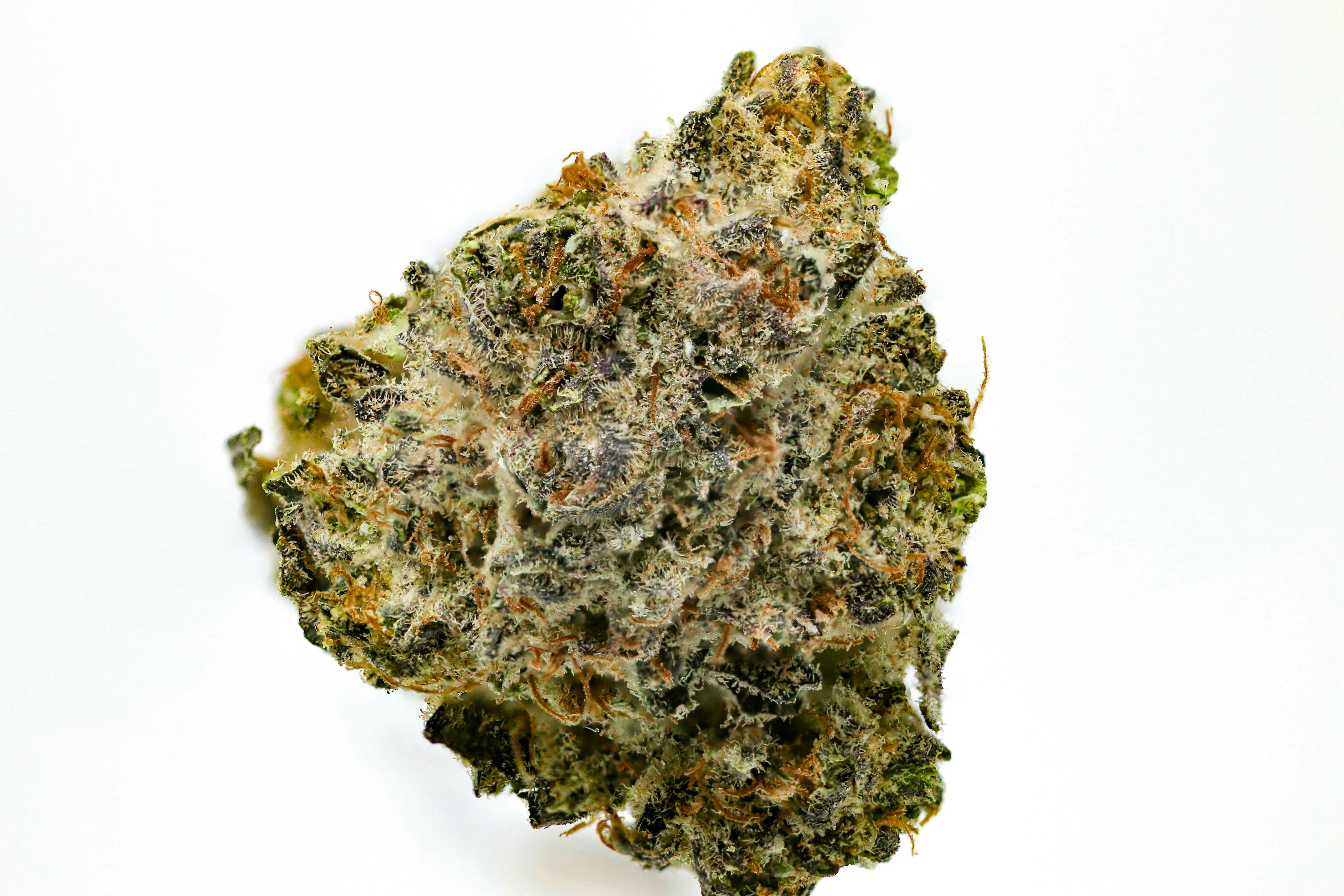 Member Berries - Natty Rems