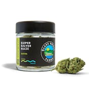 Glass House Farms - Super Silver Haze S - Flower - 3.5g