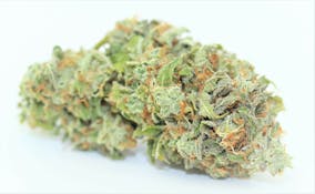 Animal Crackers (H) - 28g