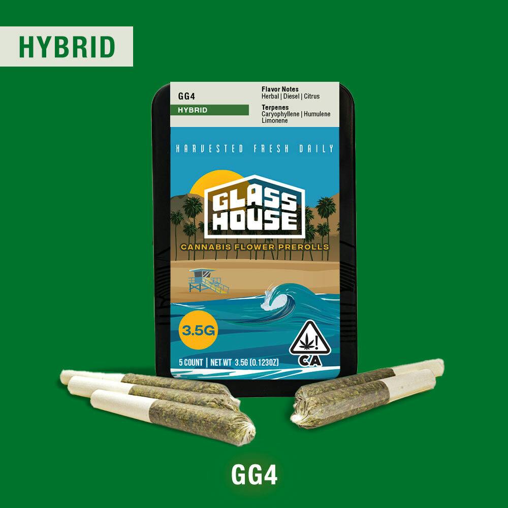 GG4 [.7g 5 Pack]