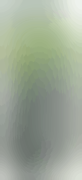 AiroPro Vaporizer - Slate