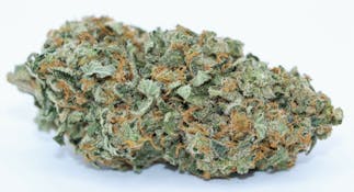 Gorilla Glue #4 3.5G