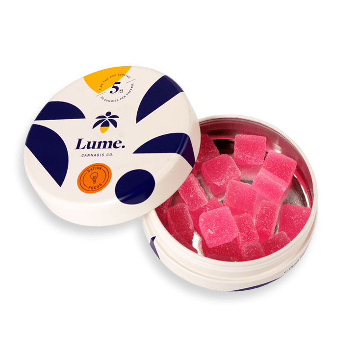 Focus - Watermelon Gummies 20X5