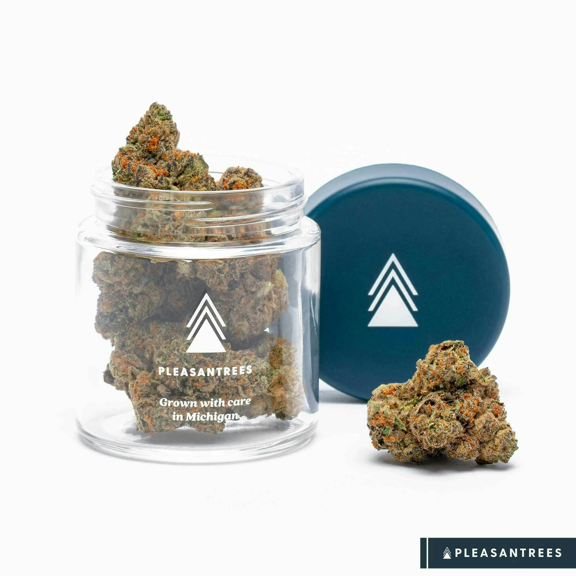 Grape Gas | 1/8th Ounce