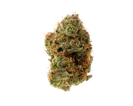 Citrus Farmer #1