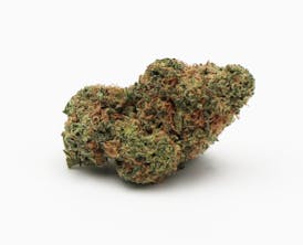 Dirty Taxi Flower