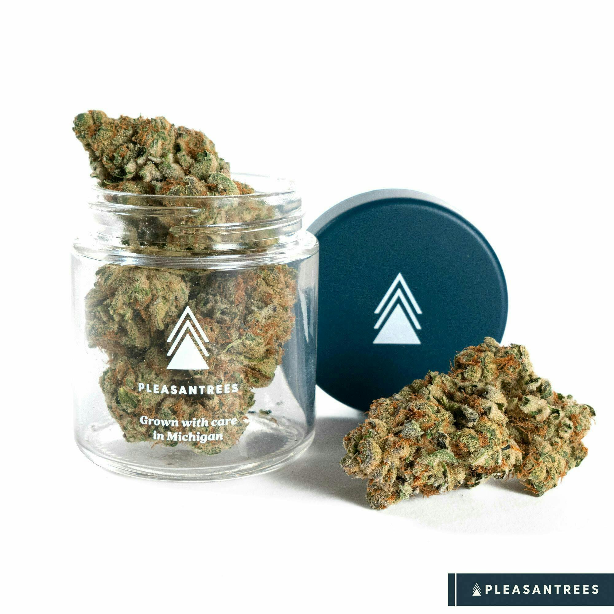 Creamsicle | 1/8th Ounce by Pleasantrees