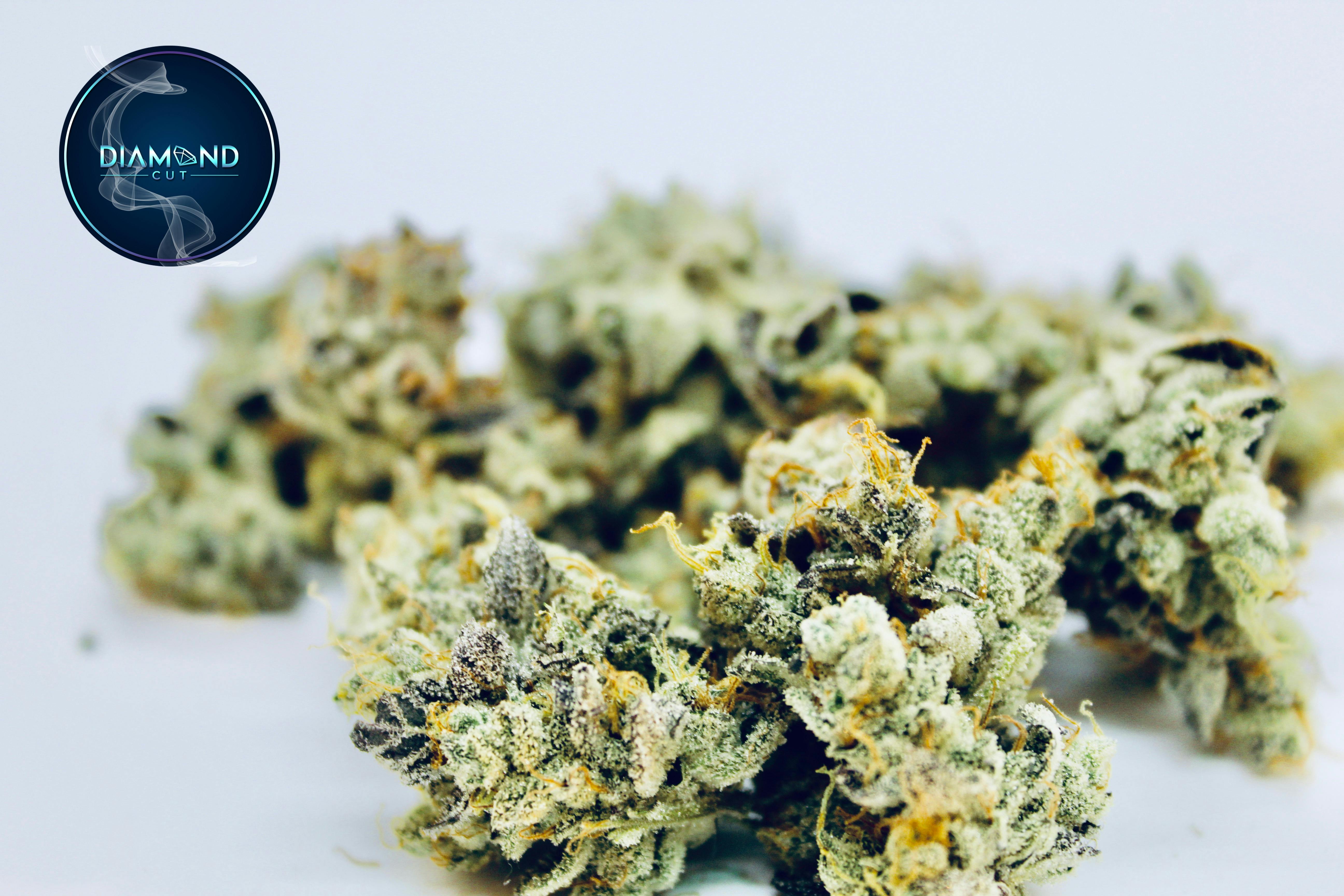 Diamond Cut Farms- GMO