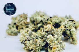 Diamond Cut Farms- GMO