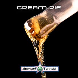 ACC Cream Pie Sap 3.5g (Hybrid)