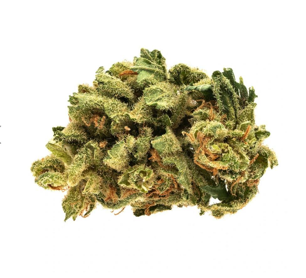 Raider Kush