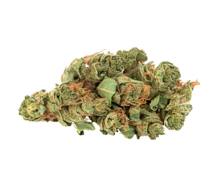 Daily Special Sativa