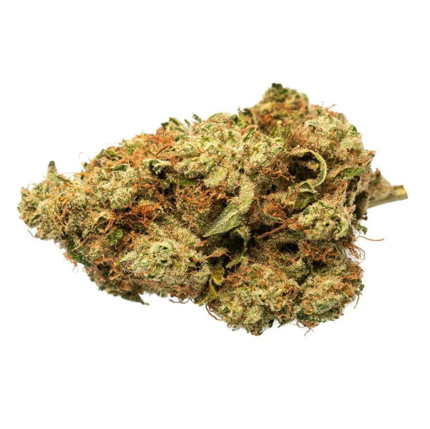 Indica