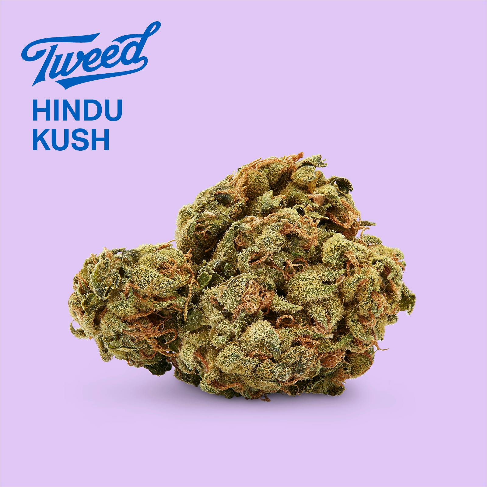 Hindu Kush