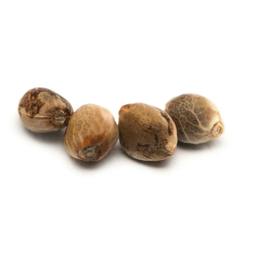 Bakerstreet Seeds