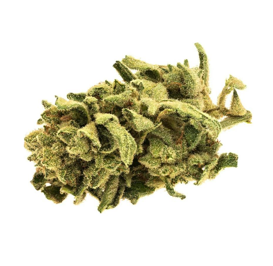 Monkey Glue