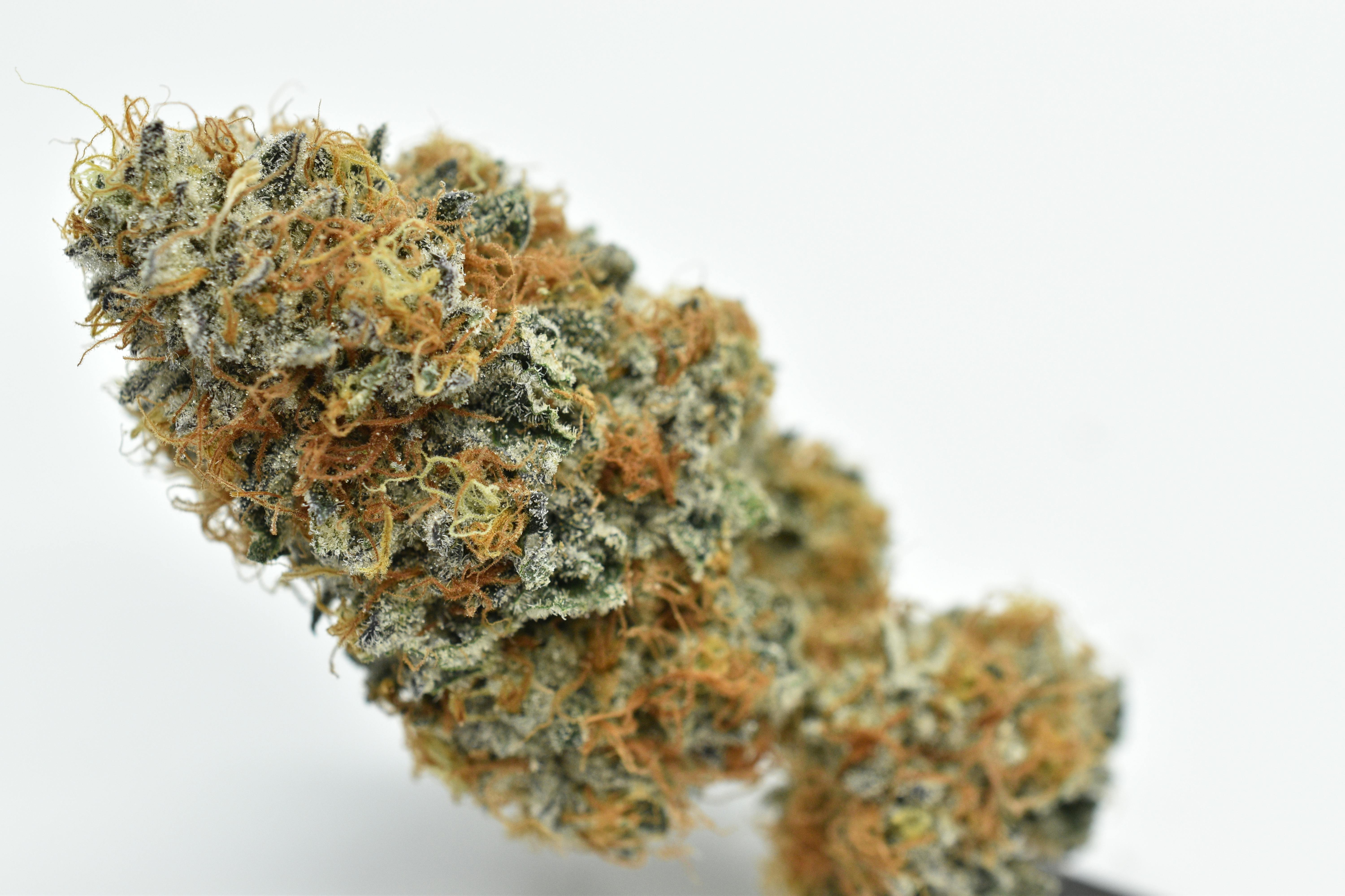 Peach Gelato Sky Tide Cannabis Co.