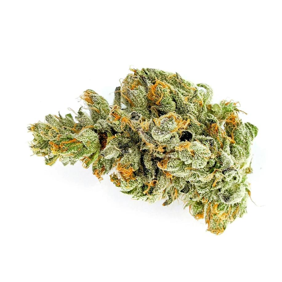 Nova Glue