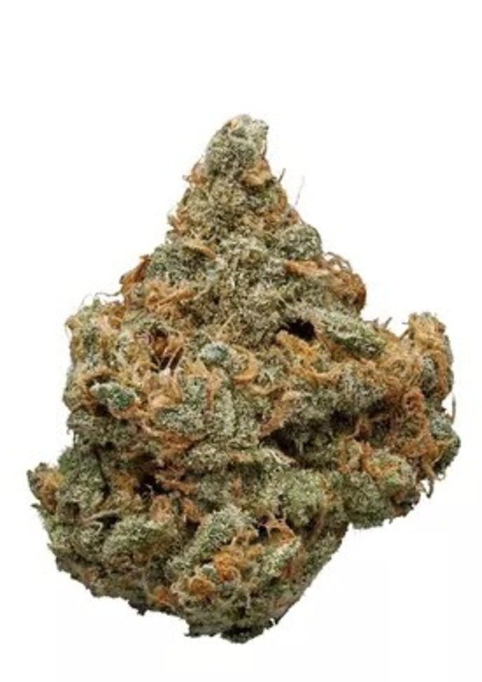 Blue Dream Indoor | 3.5g | THC 29%