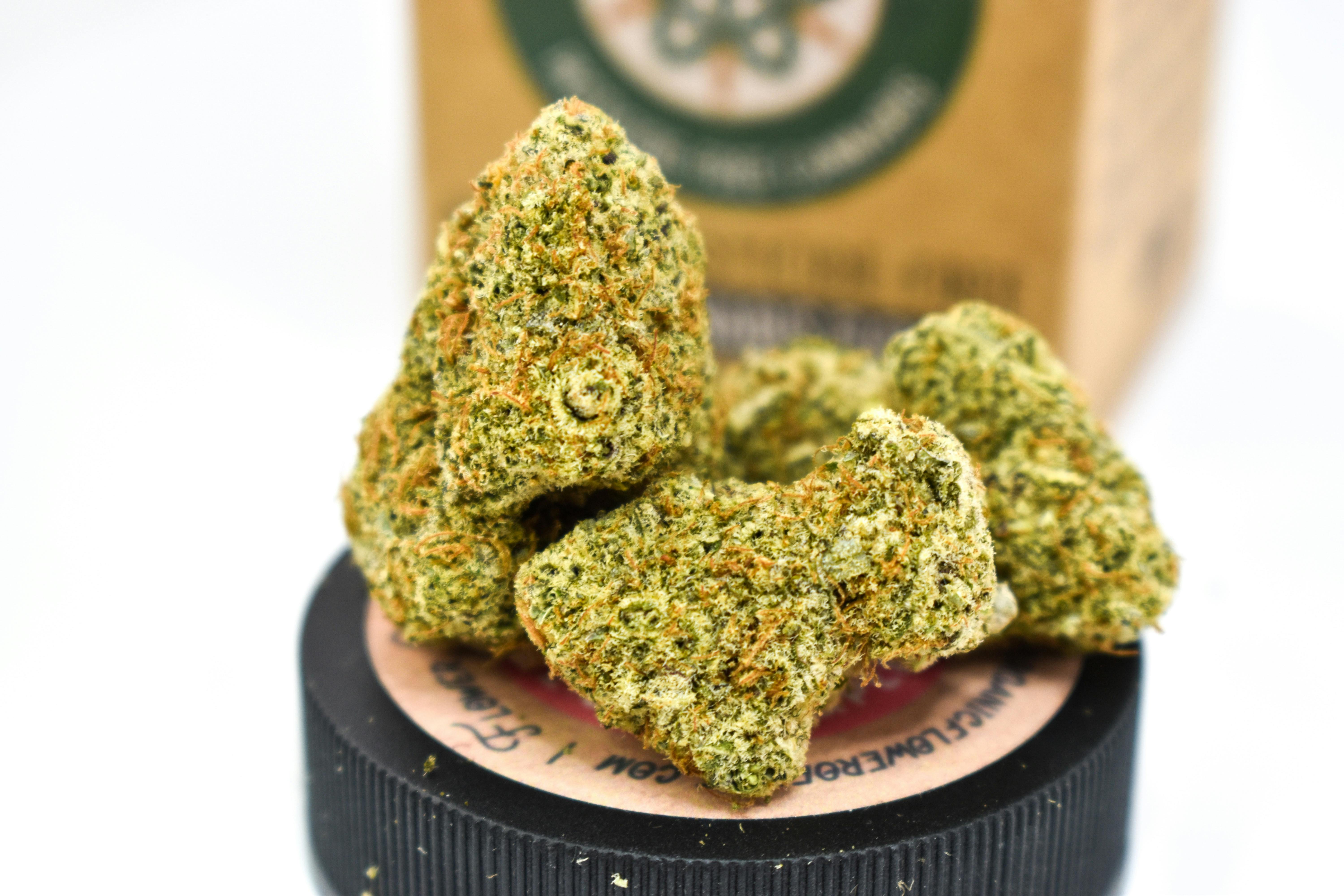 Flower of Life Tropical Jelly | Weedmaps