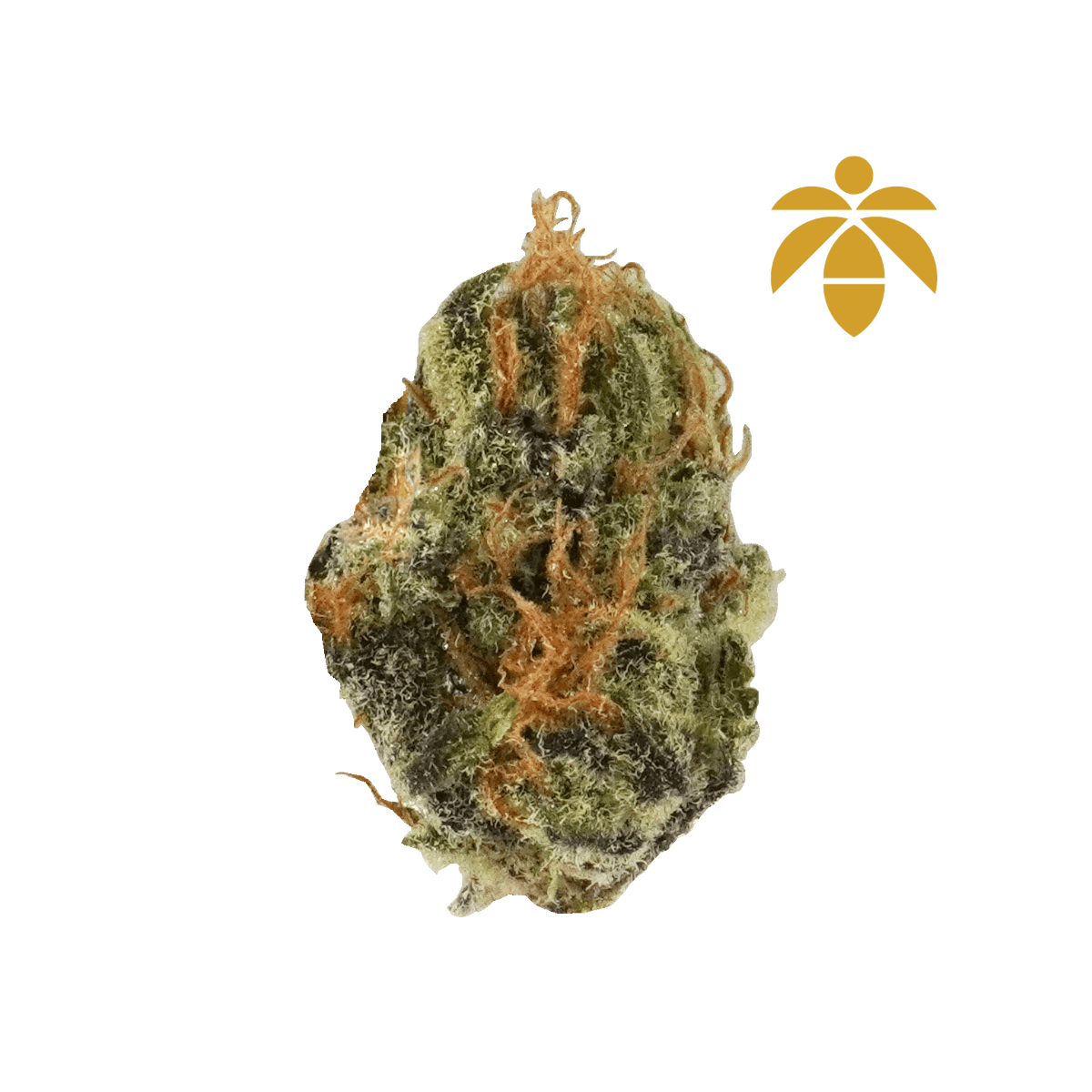 Blackberry Kush #10 Flower
