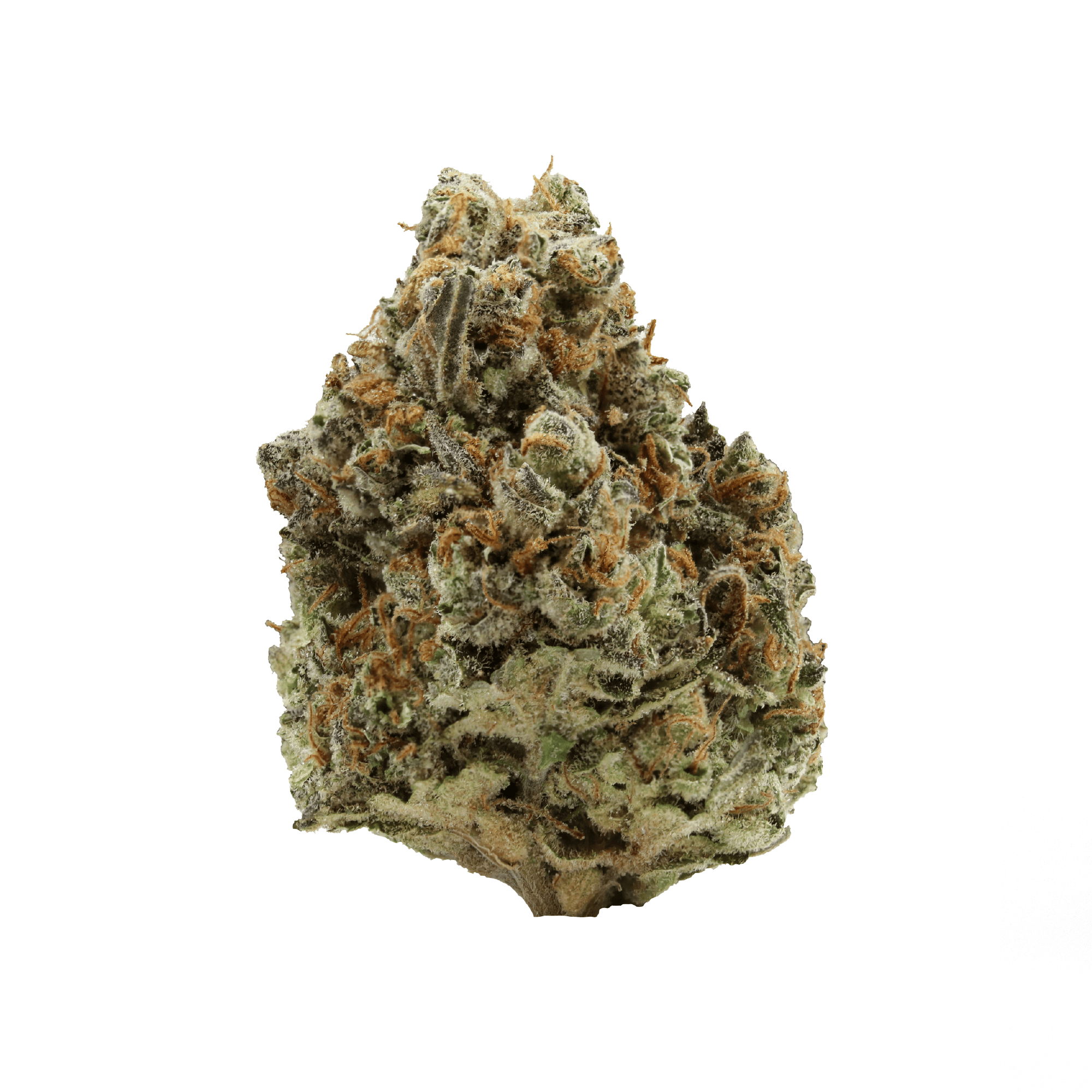 Amnesia x Super Haze