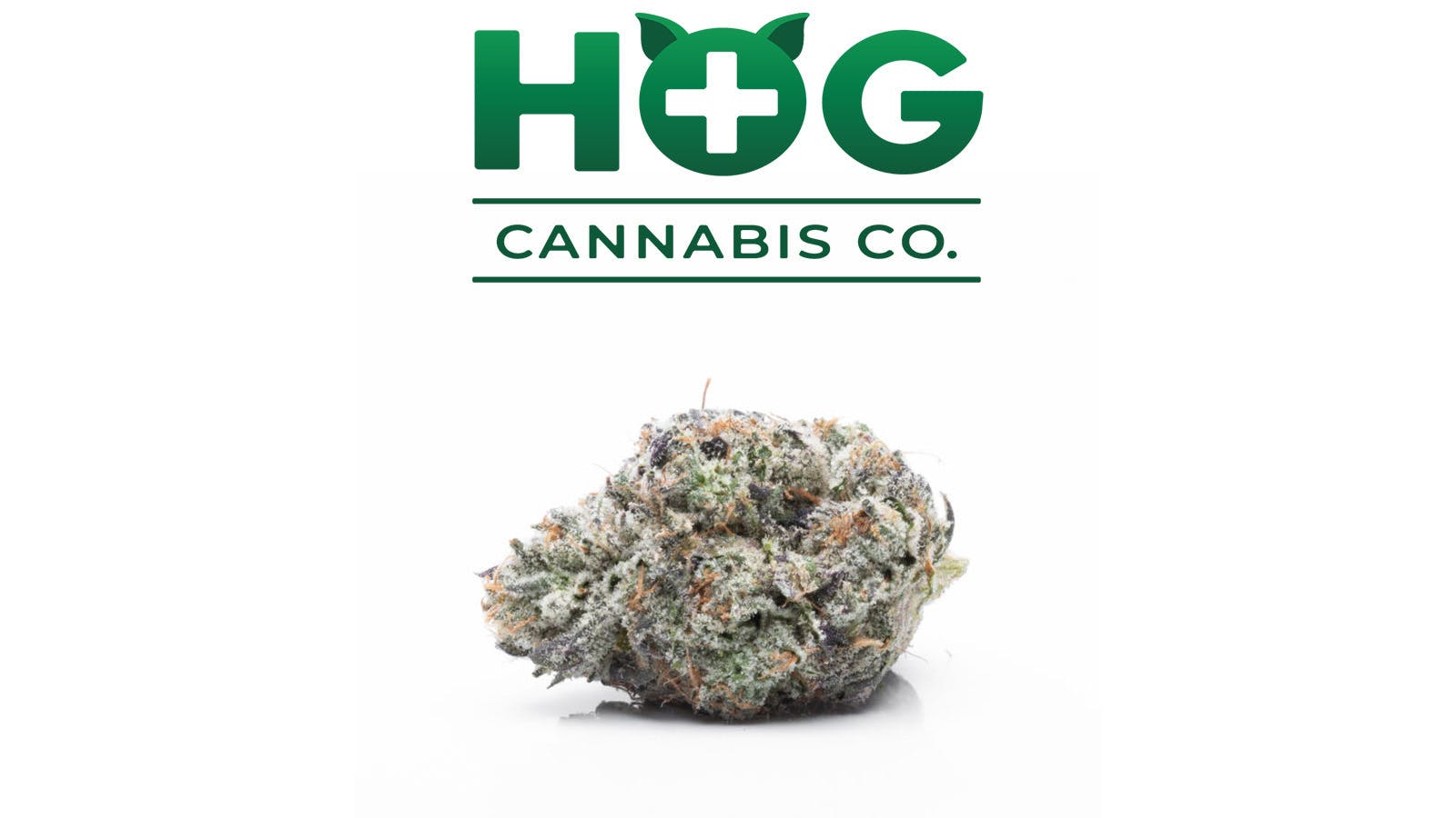 Bully Kush HOG Cannabis Co.