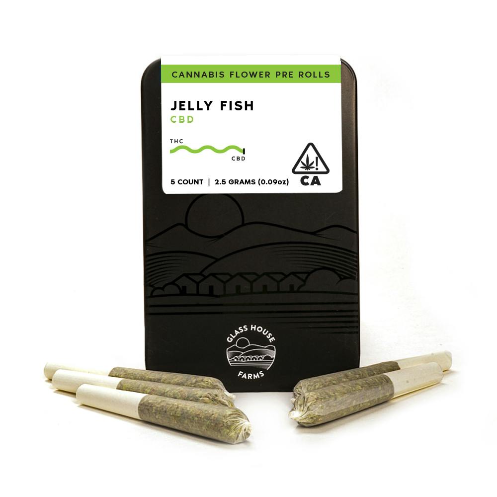 Jelly Fish [5 Pack]