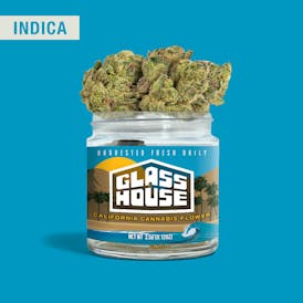 Garlic Starship [3.5g Jar]