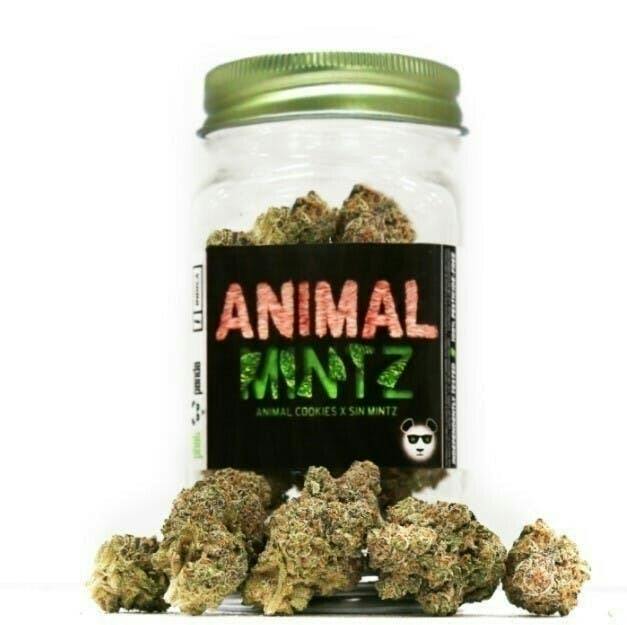 Platinum | Animal Mintz | Big Buds