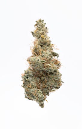 Garlic Juice - 3.5G Top Shelf Indoor Flower - Headstash