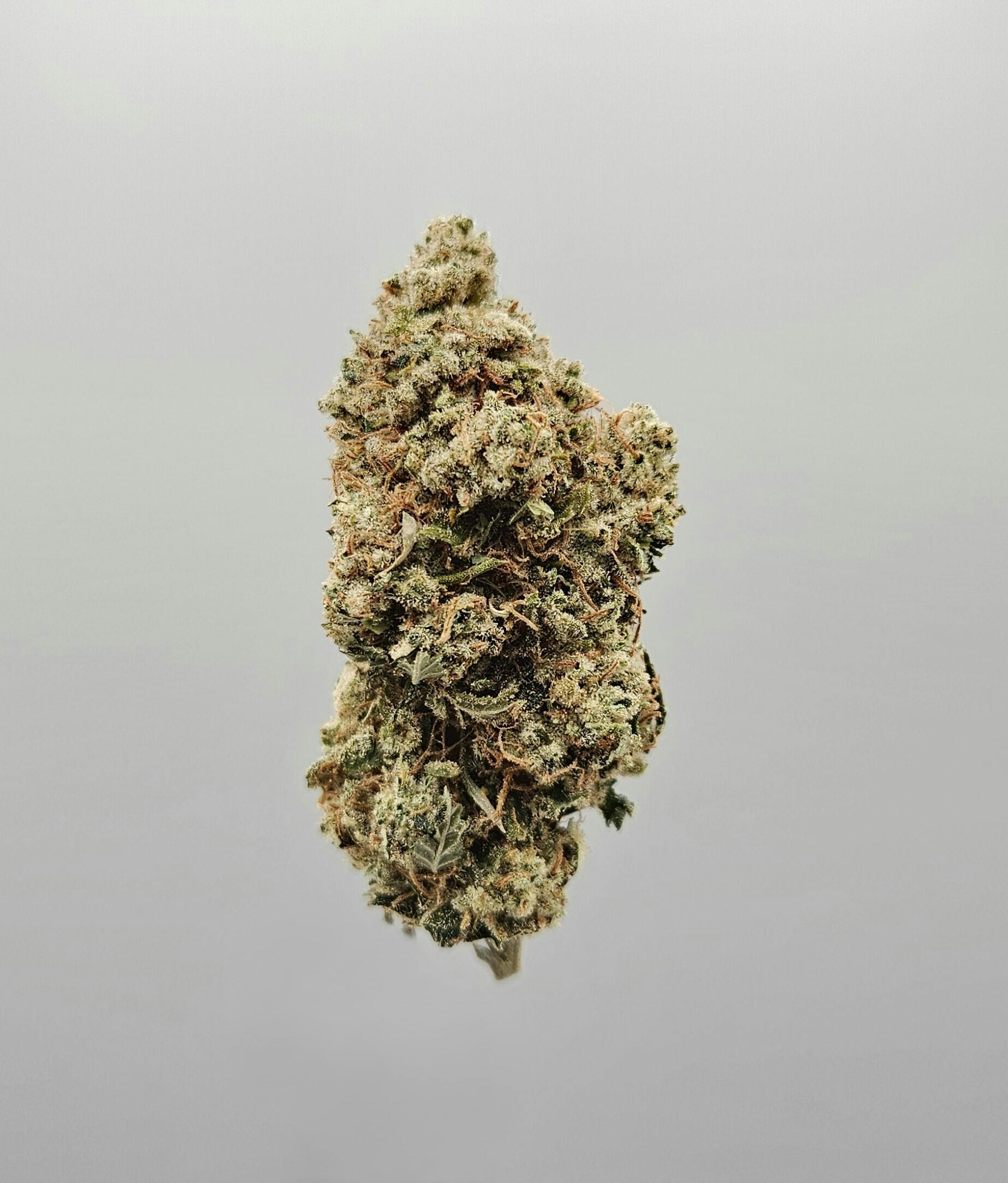 Flower - Tier 3 - Shire 2.0 at Ripple Wellness - Biddeford: Medical Cannabis Store