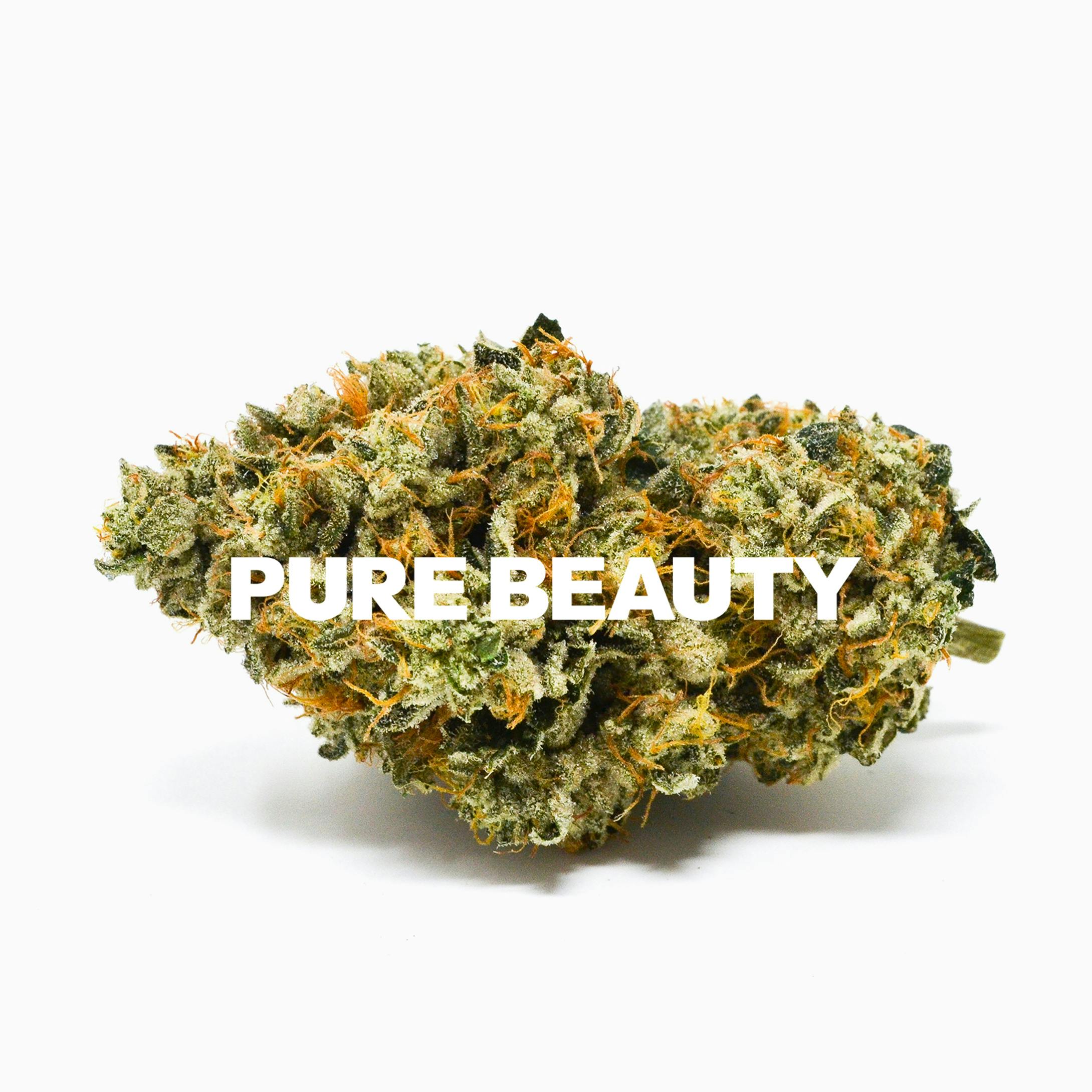Pure Beauty — Bermuda Triangle