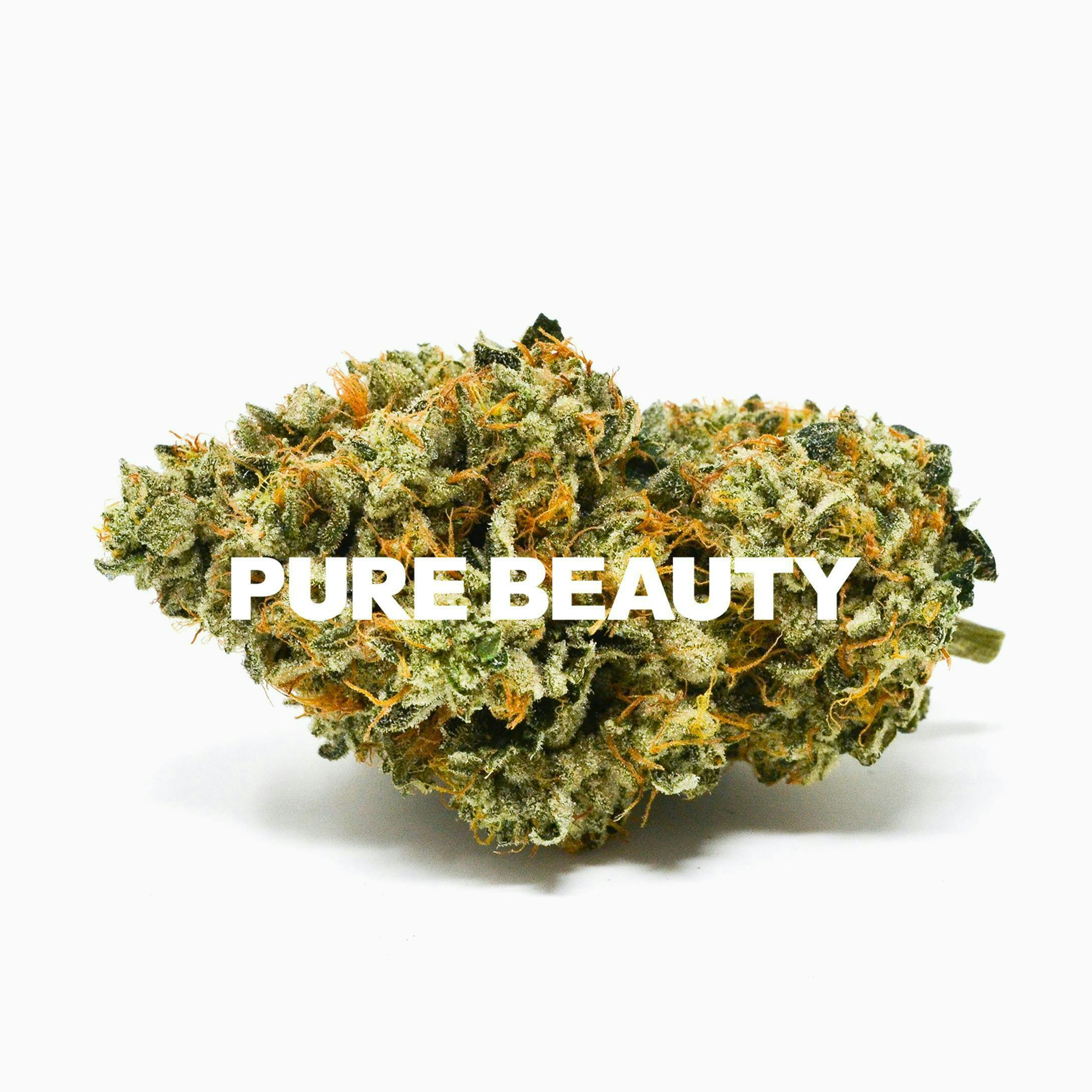 Pure Beauty — Bermuda Triangle