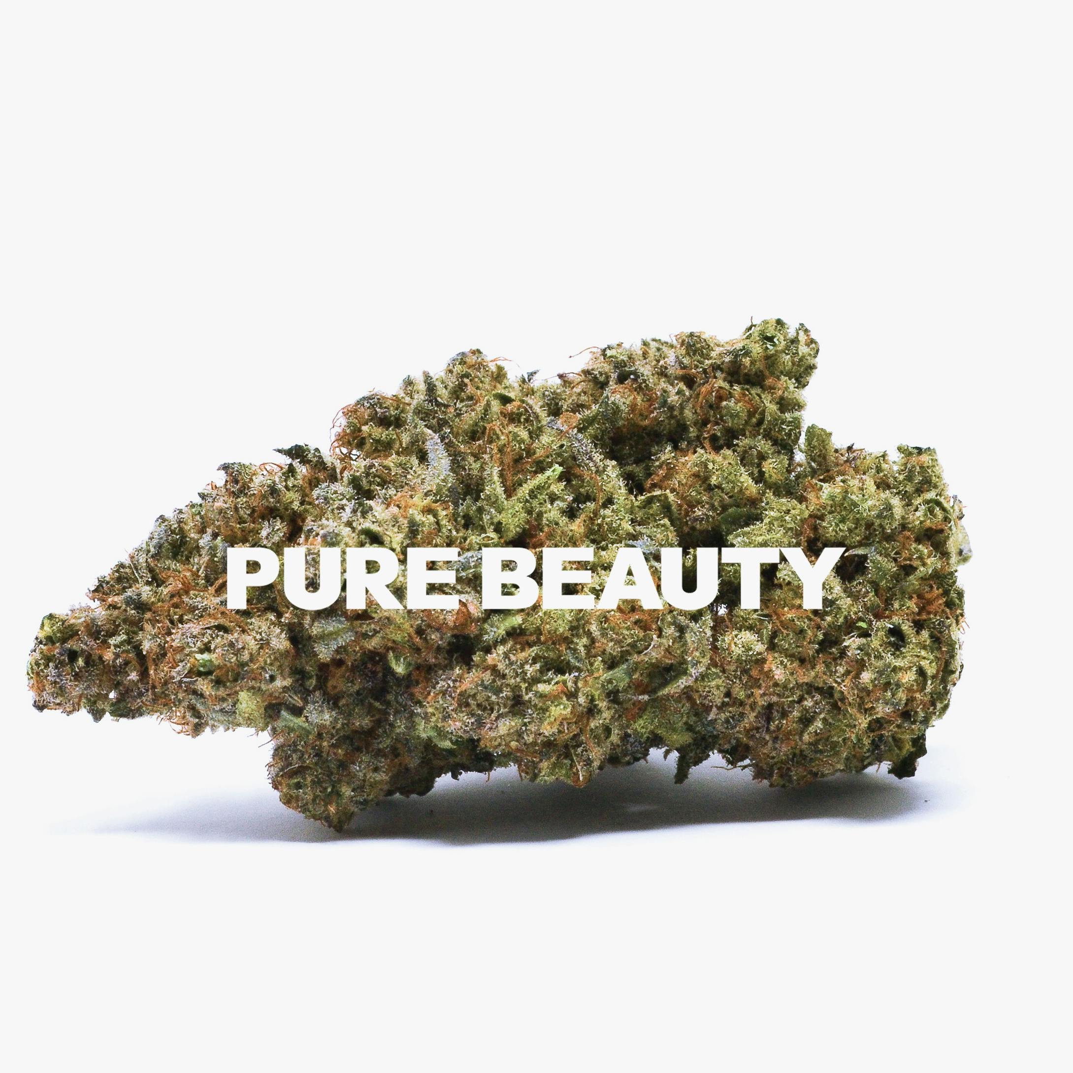 Pure Beauty — Terry T