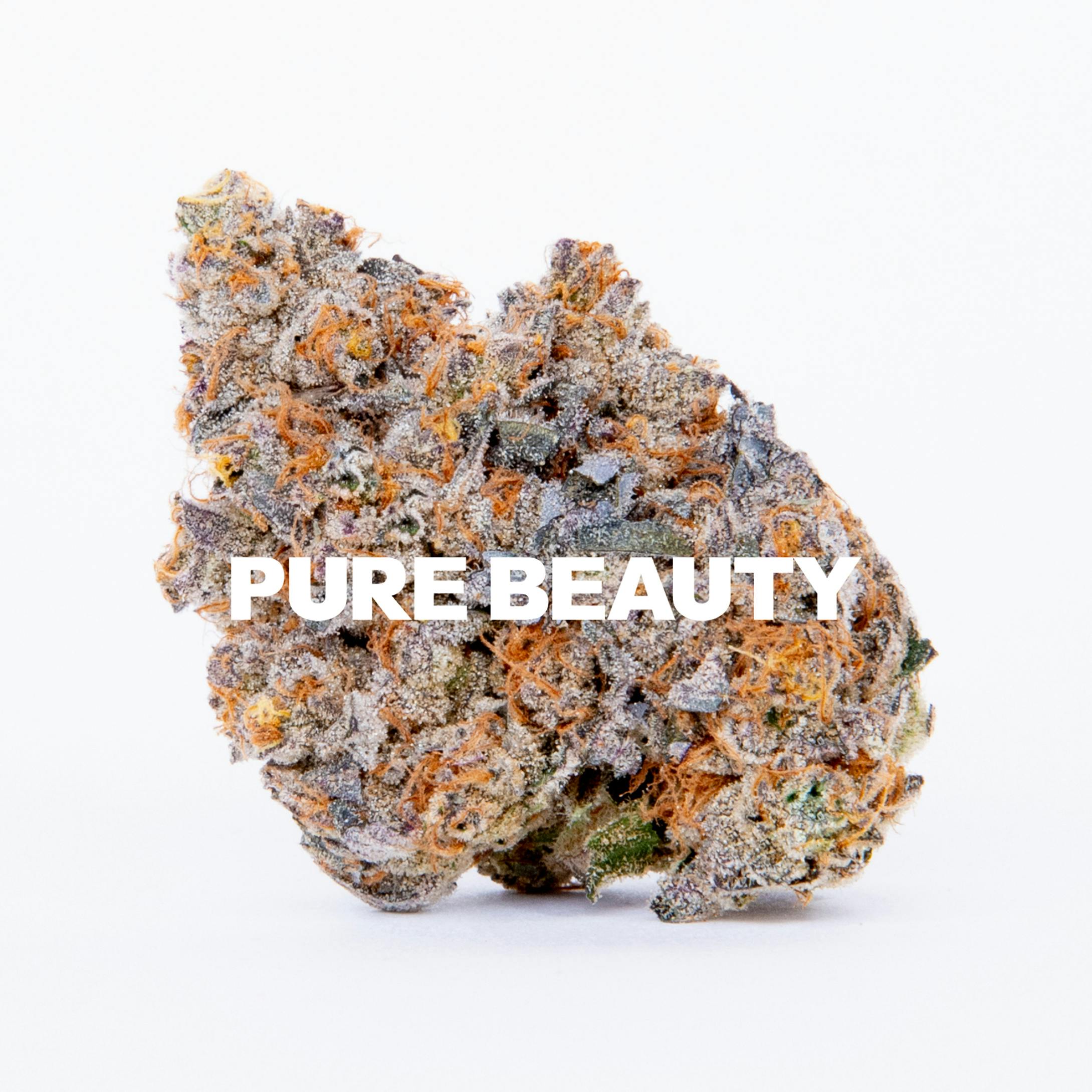 Pure Beauty — Tangimal