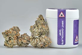 Flower - Tier 3 - Mint Chocolate Chip