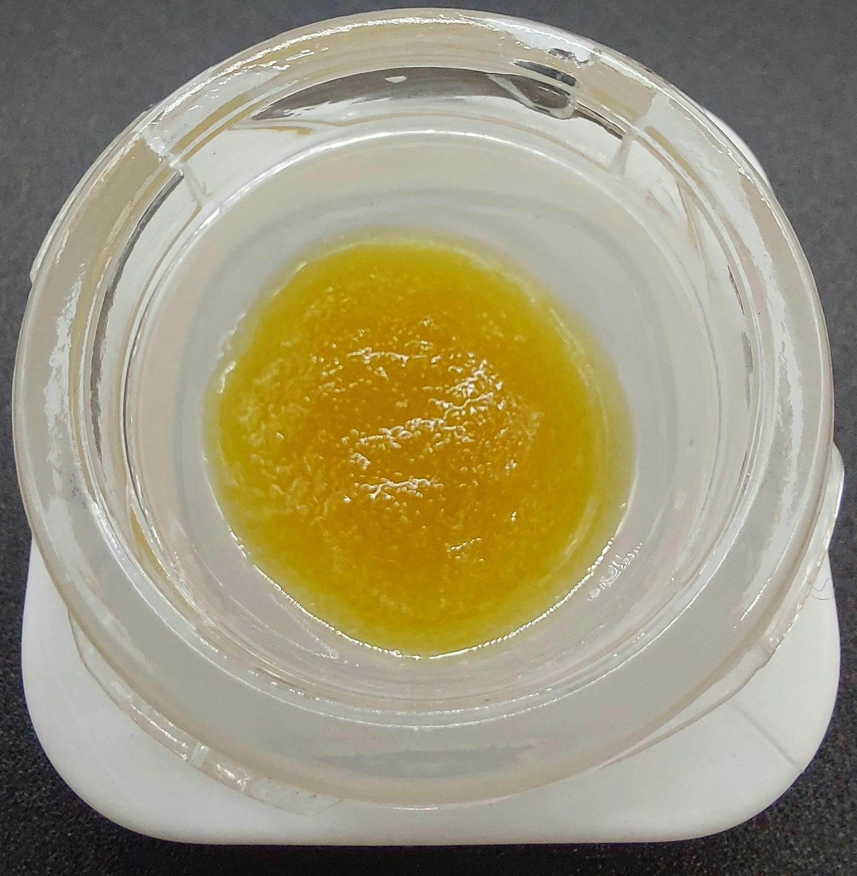 Concentrate - Live Sugar - GMO by Ripple Wellness