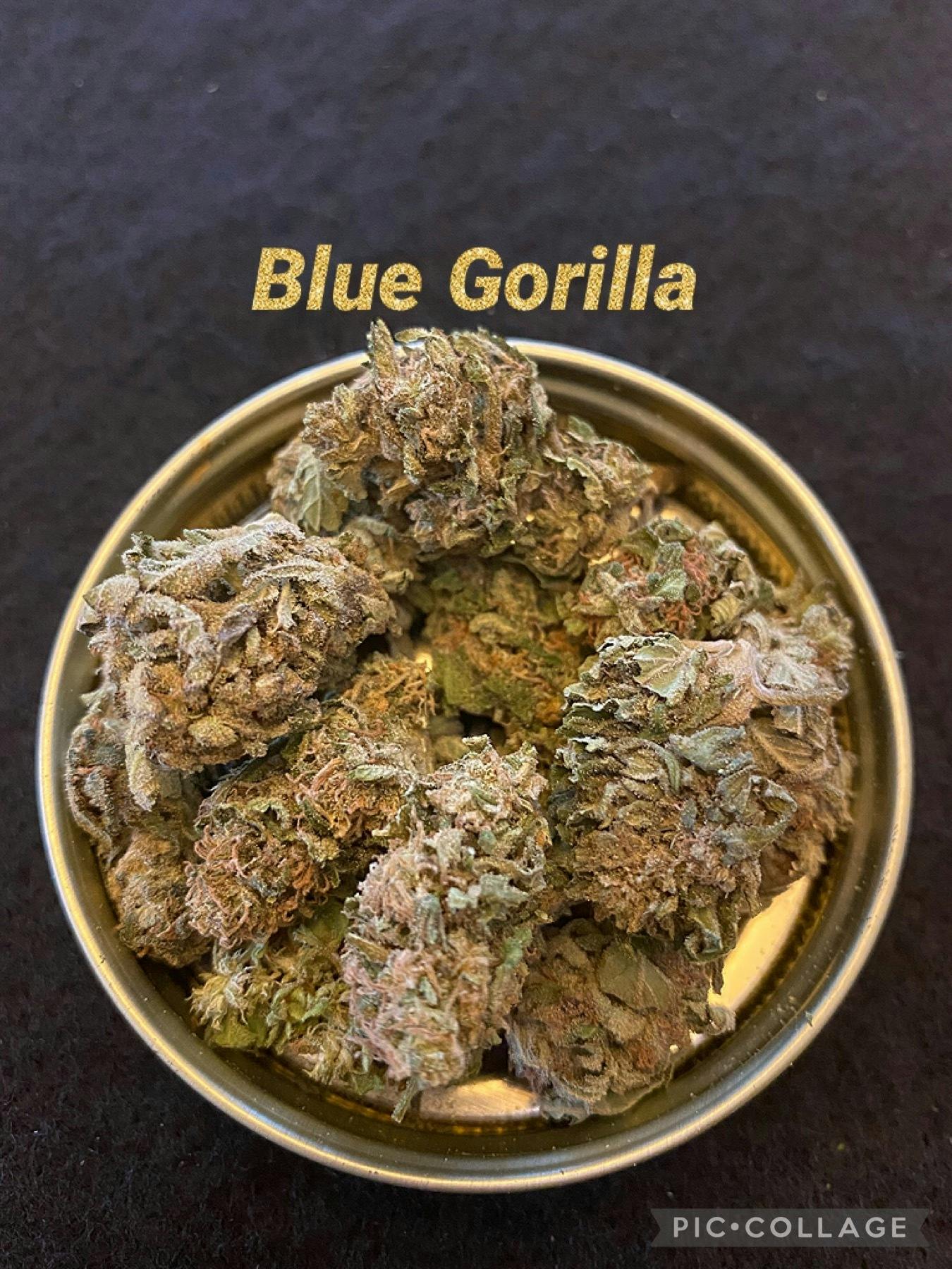 FOG Products Blue Gorilla (Outdoor) Weedmaps