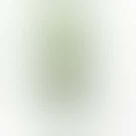 Mitten Extracts - Green Apple Fruit Chews 200mg