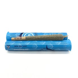 1 Gram Tropicana Cookies Pre-Roll