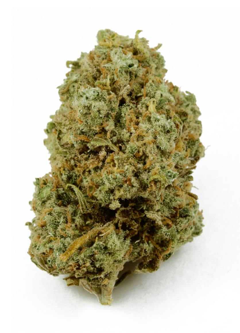 Jack Herer