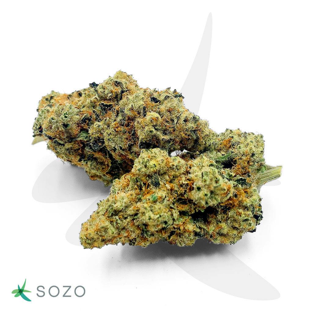 Motor Breath by Sozo