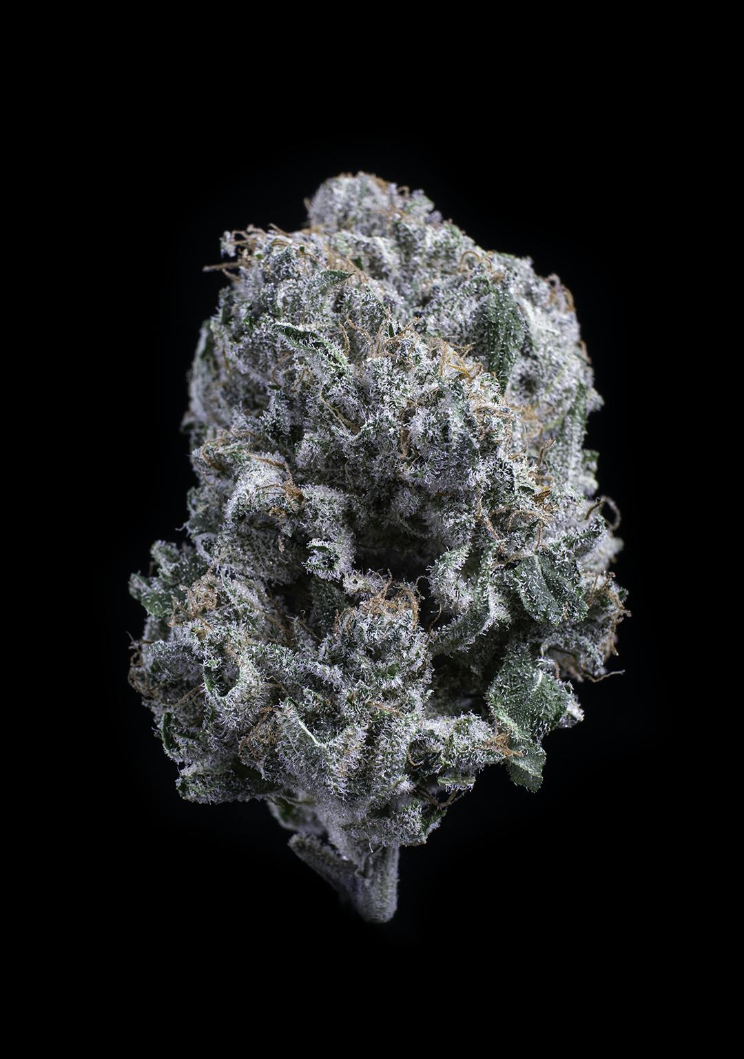 Charlotte’s Web CBD