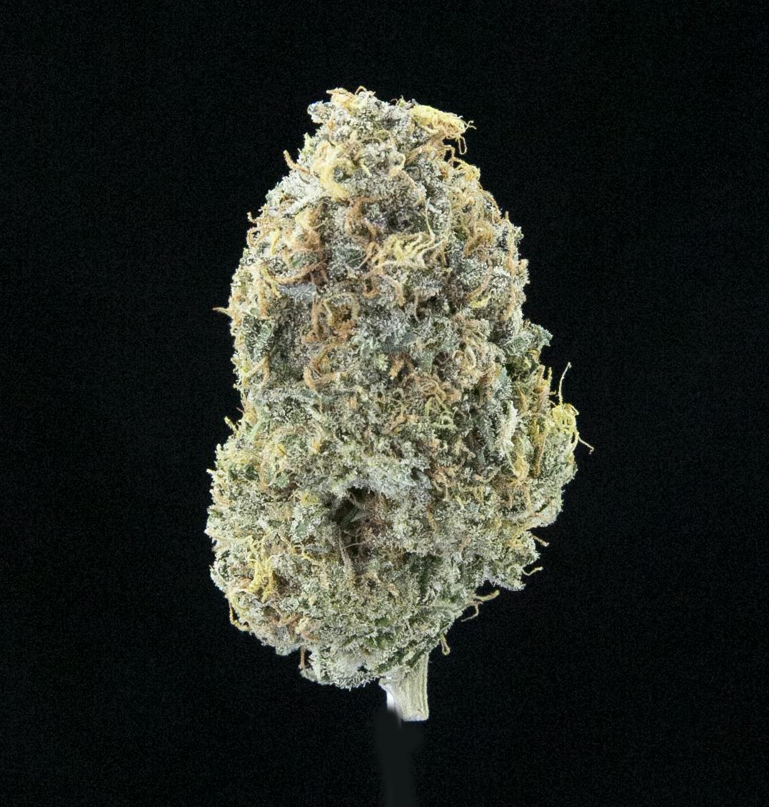 Lemon Cookies by Falcanna