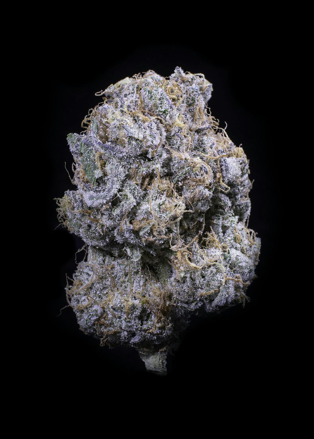 Royal Kush by Falcanna