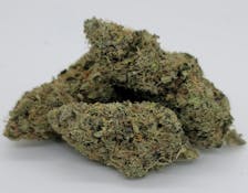 BLUE GELATO 41 - 3.5G