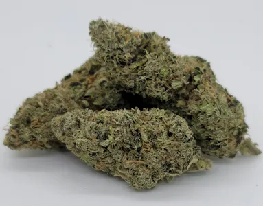 77 North - BLUE GELATO 41 - 1 OZ