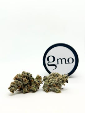 GMO